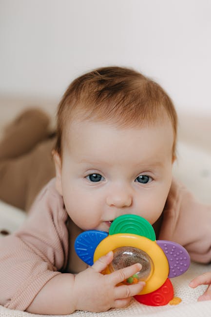 Viral Products for 2026 Toys expert review