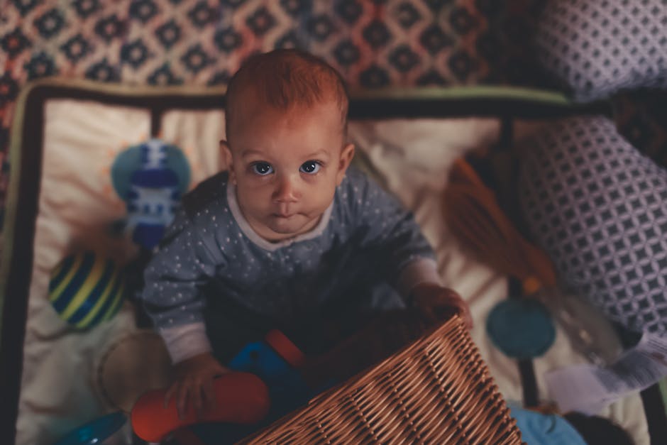 Non-Toxic Bath Toys Without Holes review