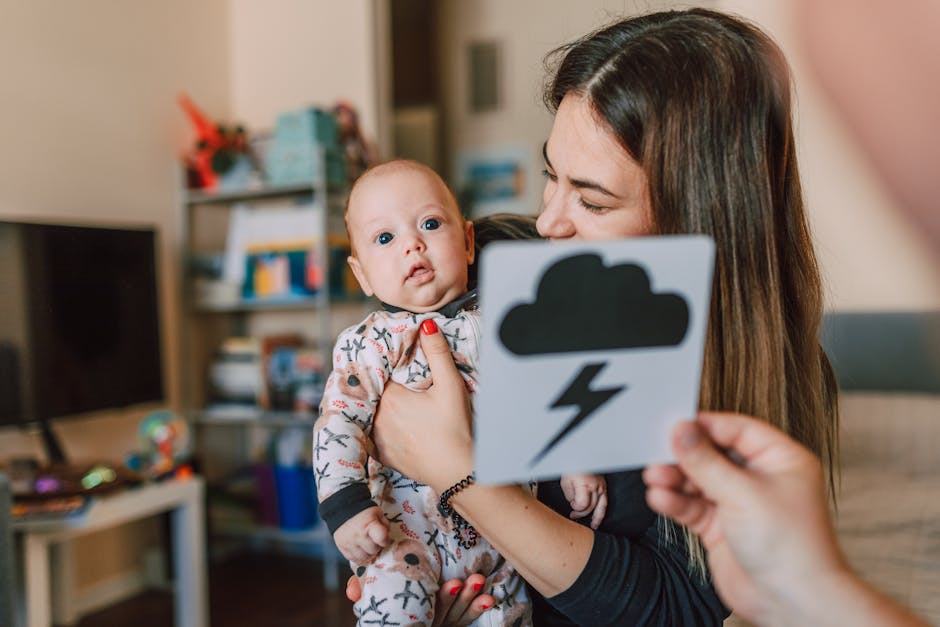 Interactive Talking Flash Cards expert review